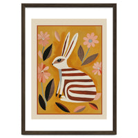 Striped Hare