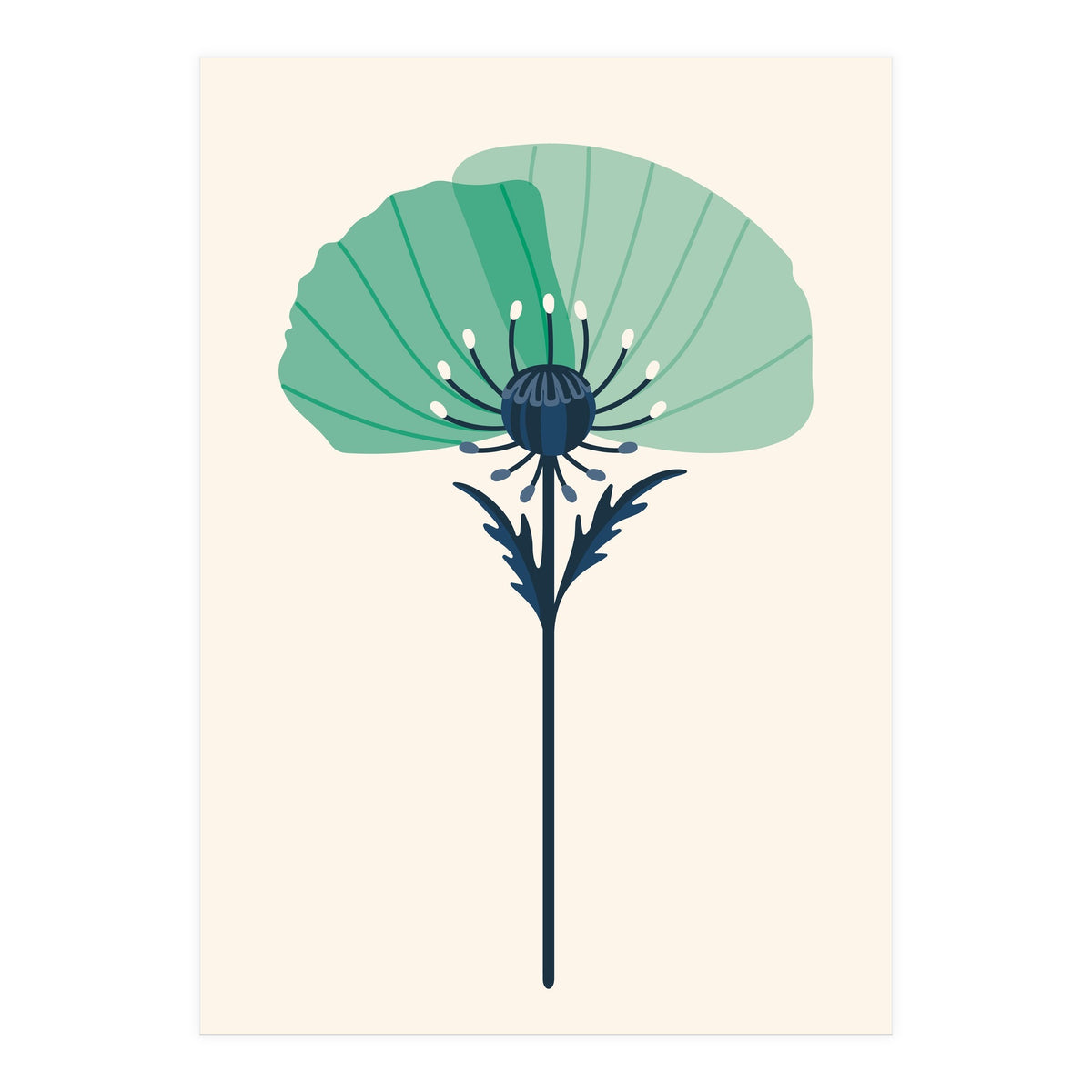 Teal Half Poppy (Print Only)