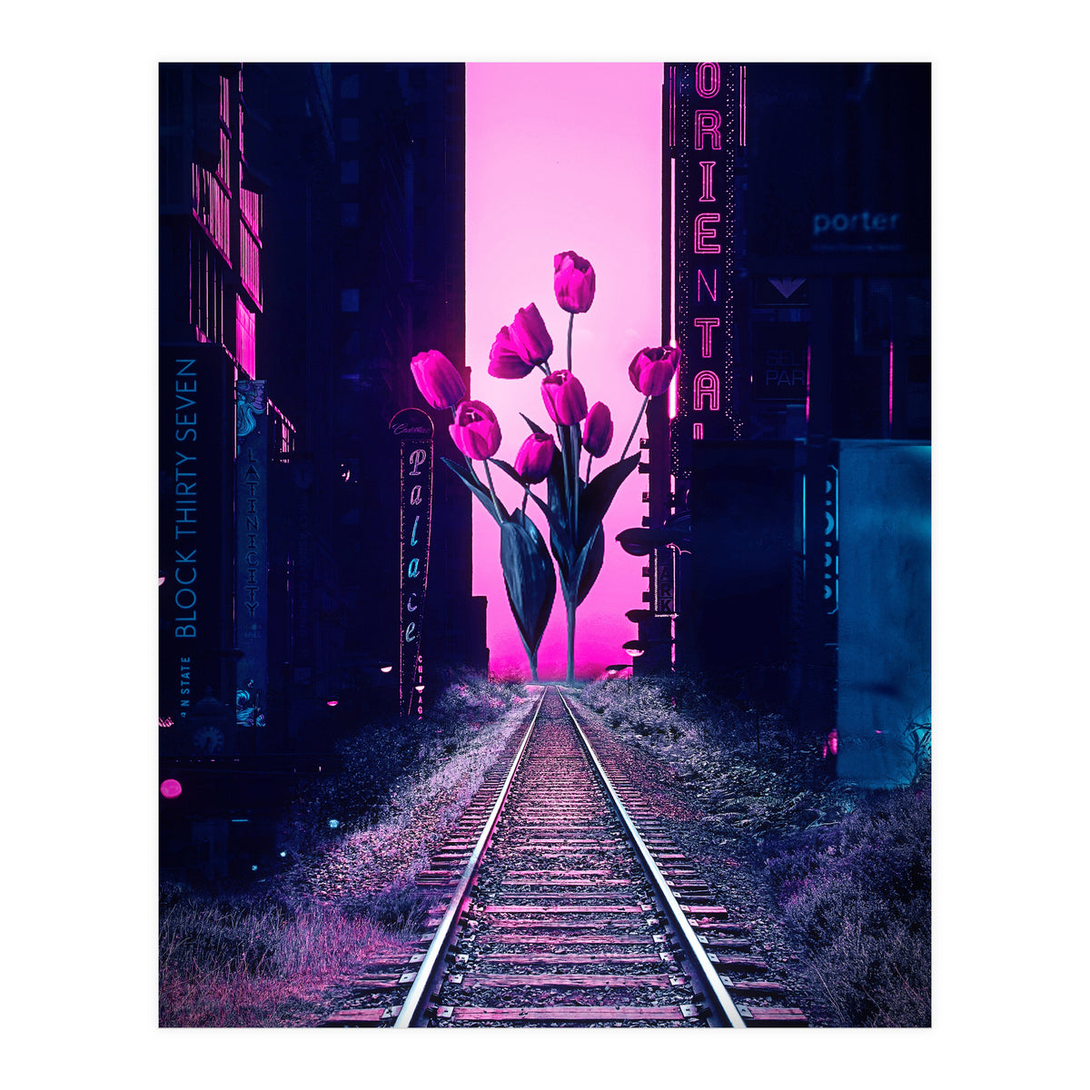 red tulips in the middle of the city (Print Only)