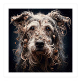 Old Dog 09 (Print Only) thumbnail