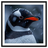 Close Up Penguin Portrait In Snowy Weather thumbnail