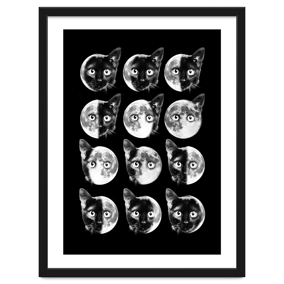 Cat Moon Phases