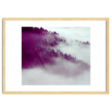 Forest Fog thumbnail