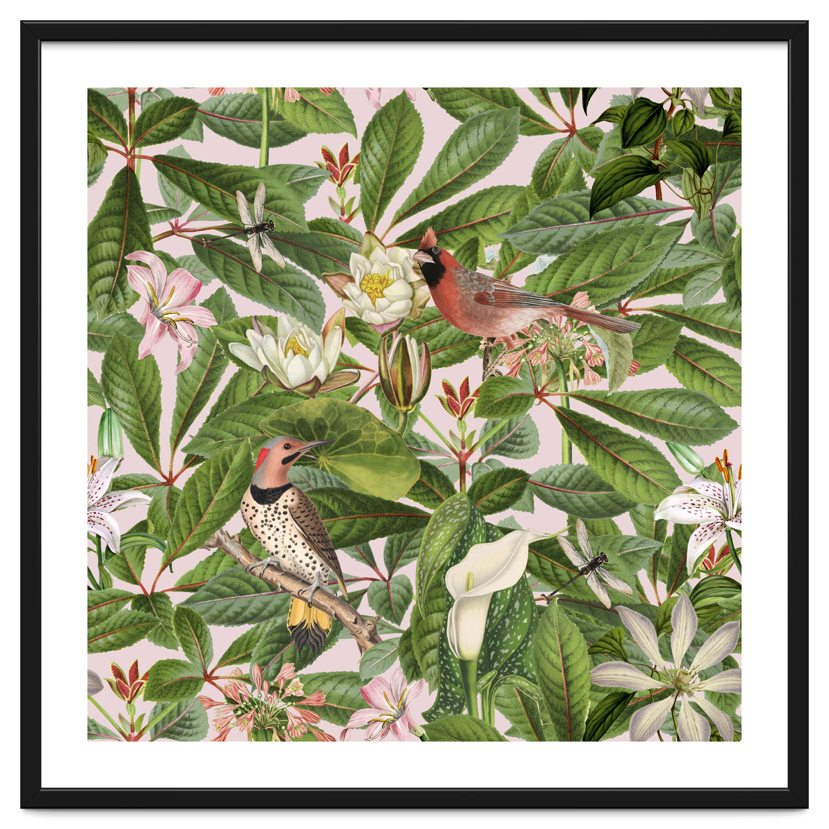 Tropical Bird Garden