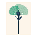 Teal Half Poppy (Print Only) thumbnail