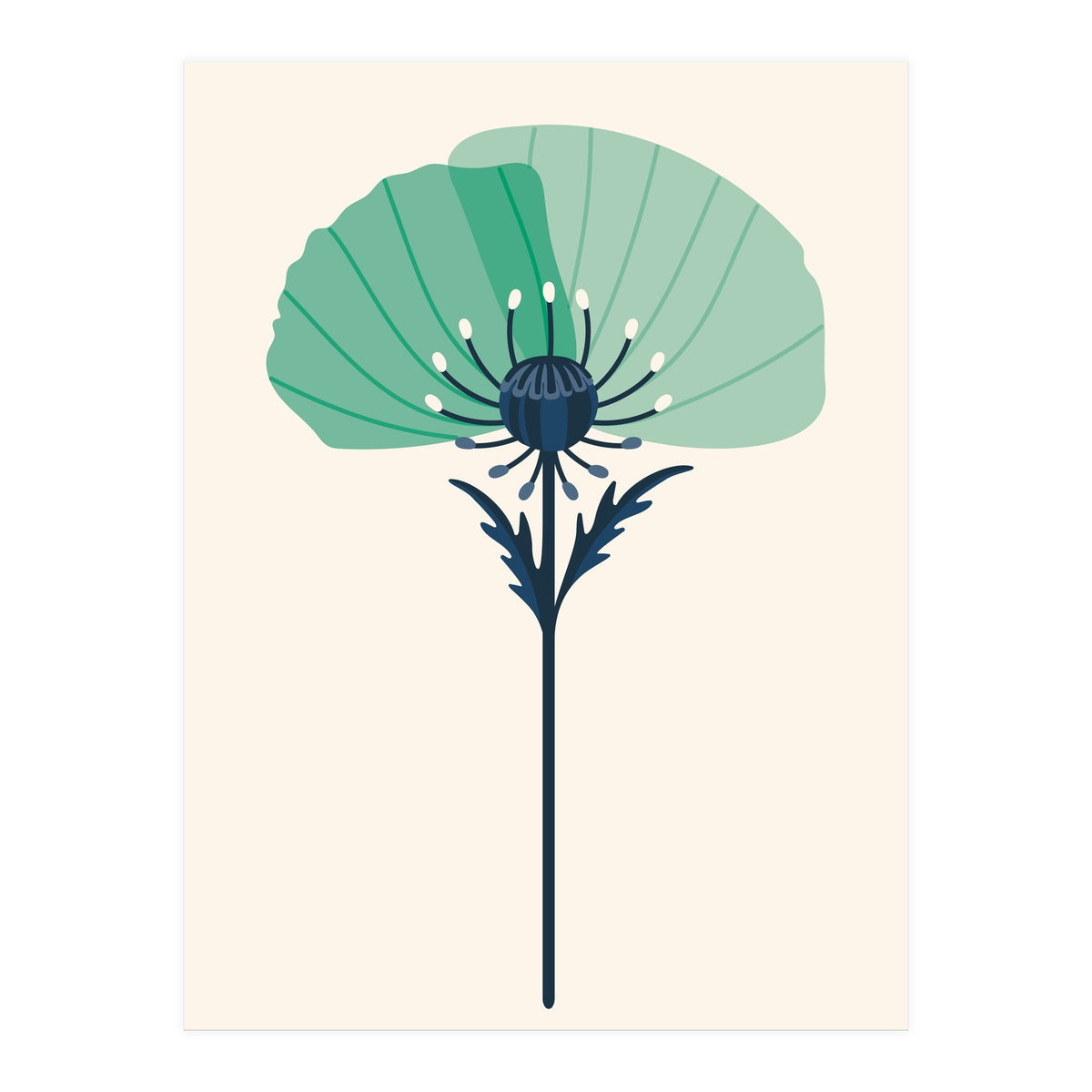 Teal Half Poppy (Print Only)