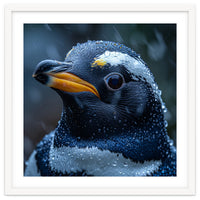 Macro view of a Penguin with Water Droplets