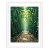 The Emerald Path: A Sun-Drenched Journey thumbnail