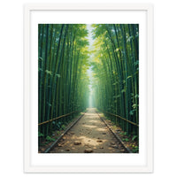 The Emerald Path: A Sun-Drenched Journey