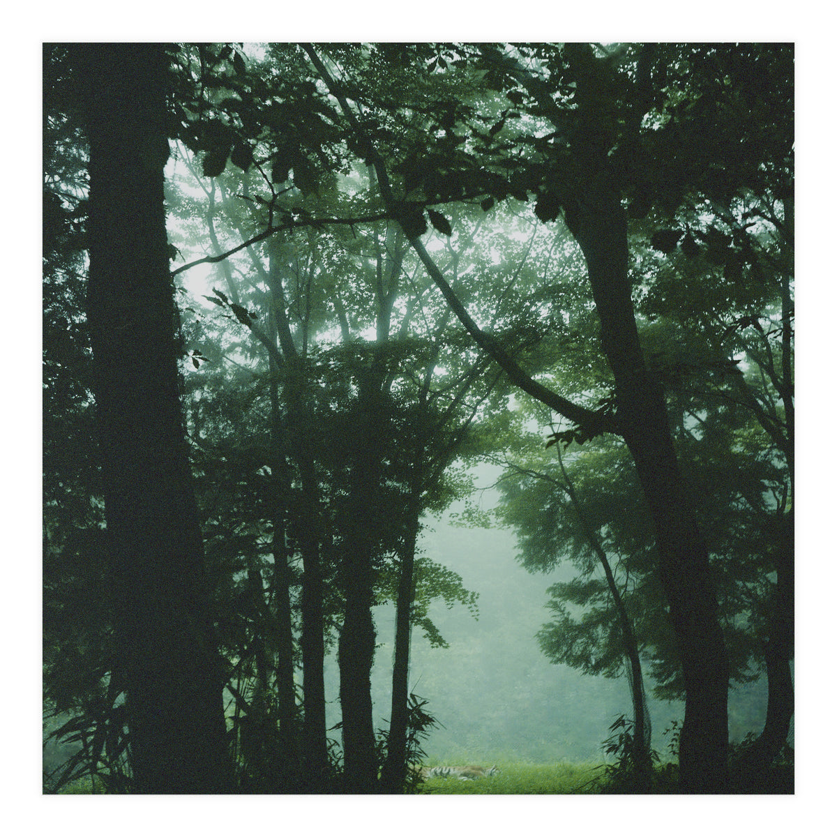 Silence of breath - 13 (Print Only)