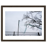 Net caught in a tree thumbnail