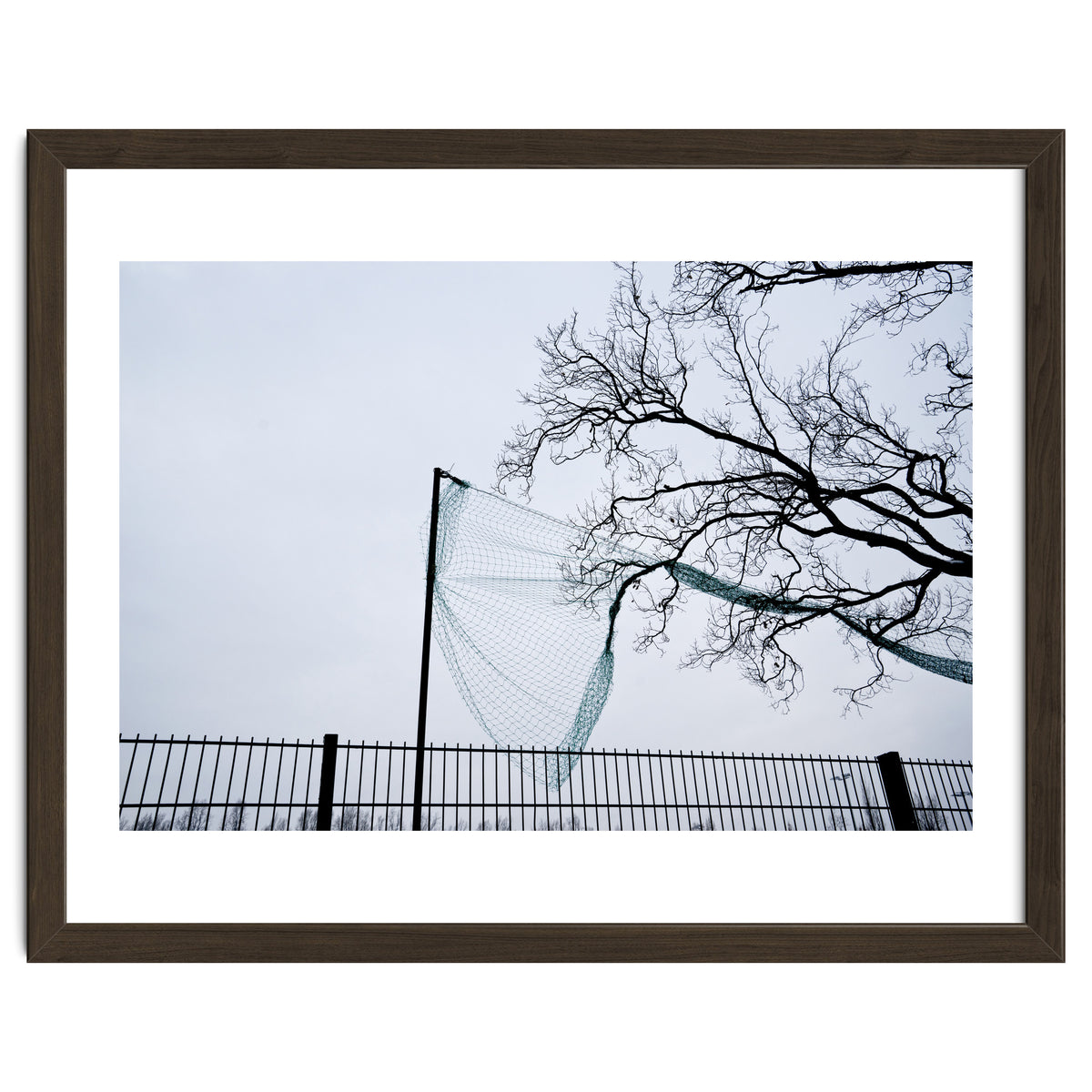 Net caught in a tree