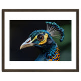 Close-up of a Peacock’s Head thumbnail