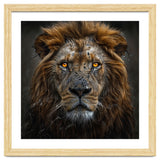 Majestic Lion With Glowing Eyes Close Up Portrait thumbnail