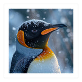 King Penguin Close Up In Snowy Environment (Print Only) thumbnail