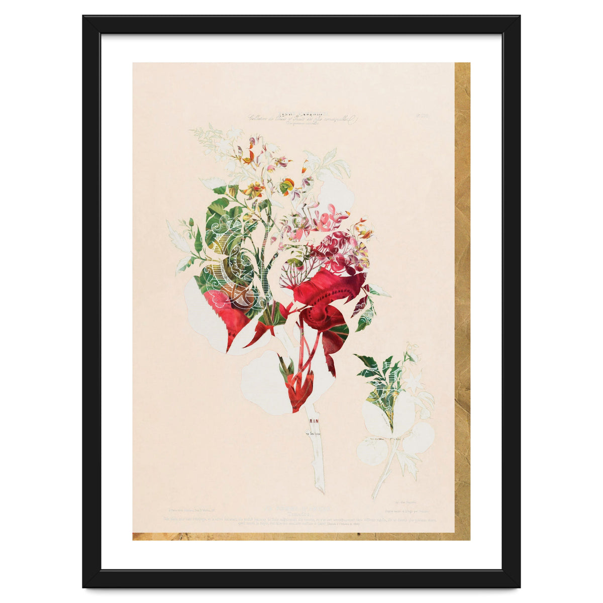 The First Plant · Aufbluehen