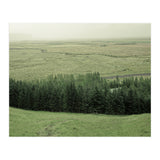 Small forest - Iceland (Print Only) thumbnail