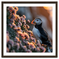 Puffin Bird On Rocks Near Pink Flowers At Sunset
