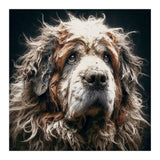 Old Dog 01 (Print Only) thumbnail