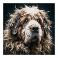 Old Dog 01 (Print Only)