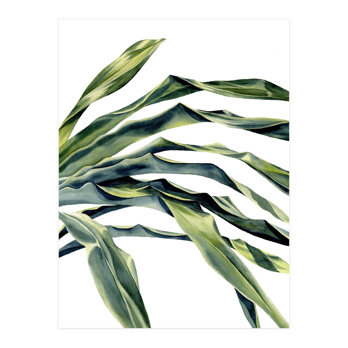 Green Palm Leaves (Print Only)