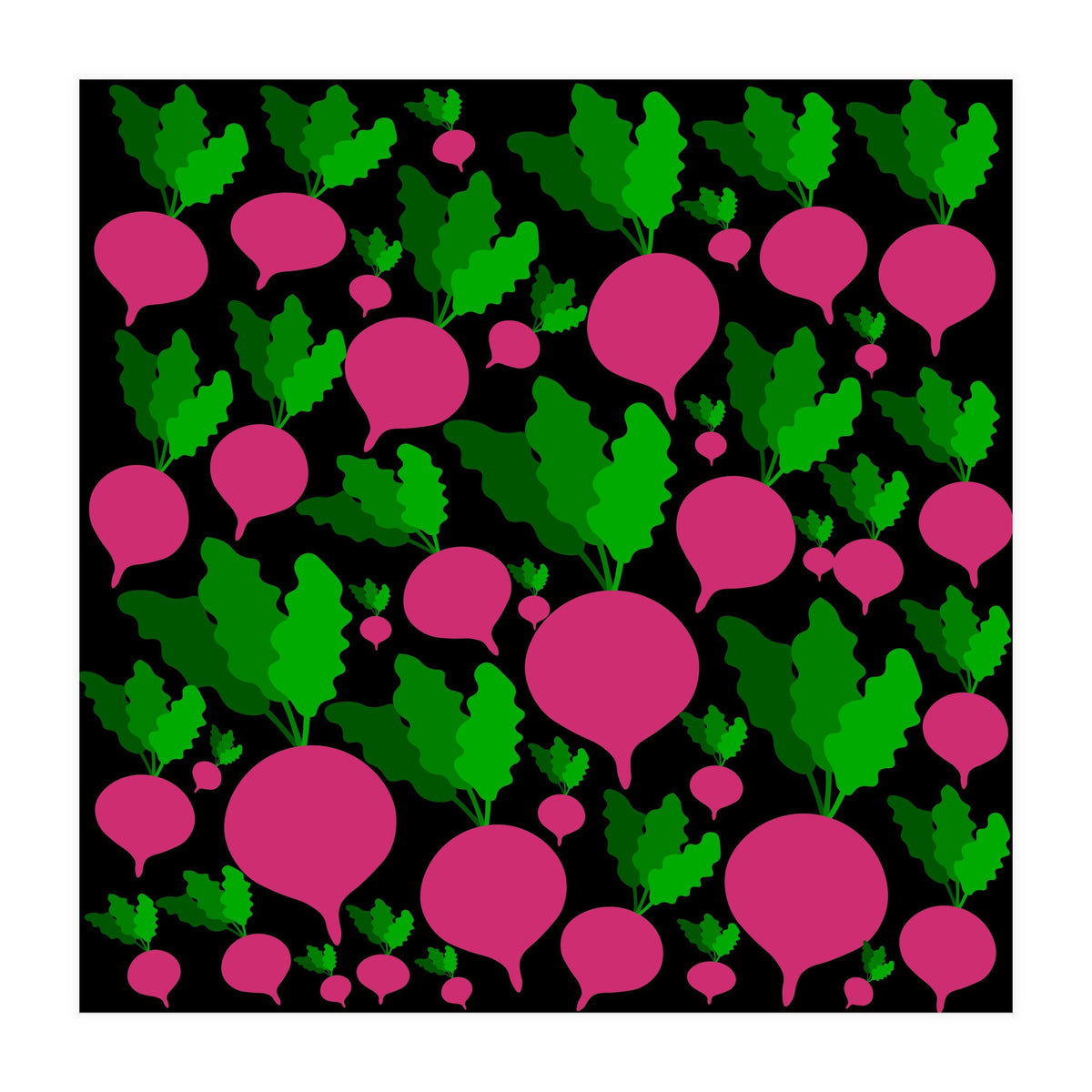 Radishes (Print Only)