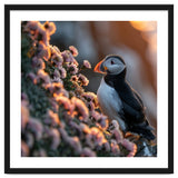 Puffin Bird On Rocks Near Pink Flowers At Sunset thumbnail