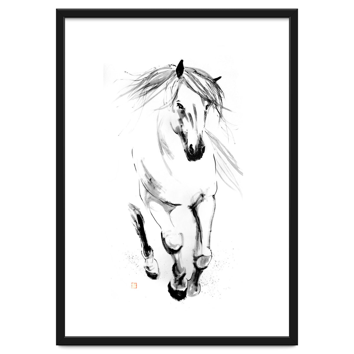 Runninh Ghorse In Water