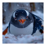 Close Up Gentoo Penguin In Snowy Landscape (Print Only) thumbnail
