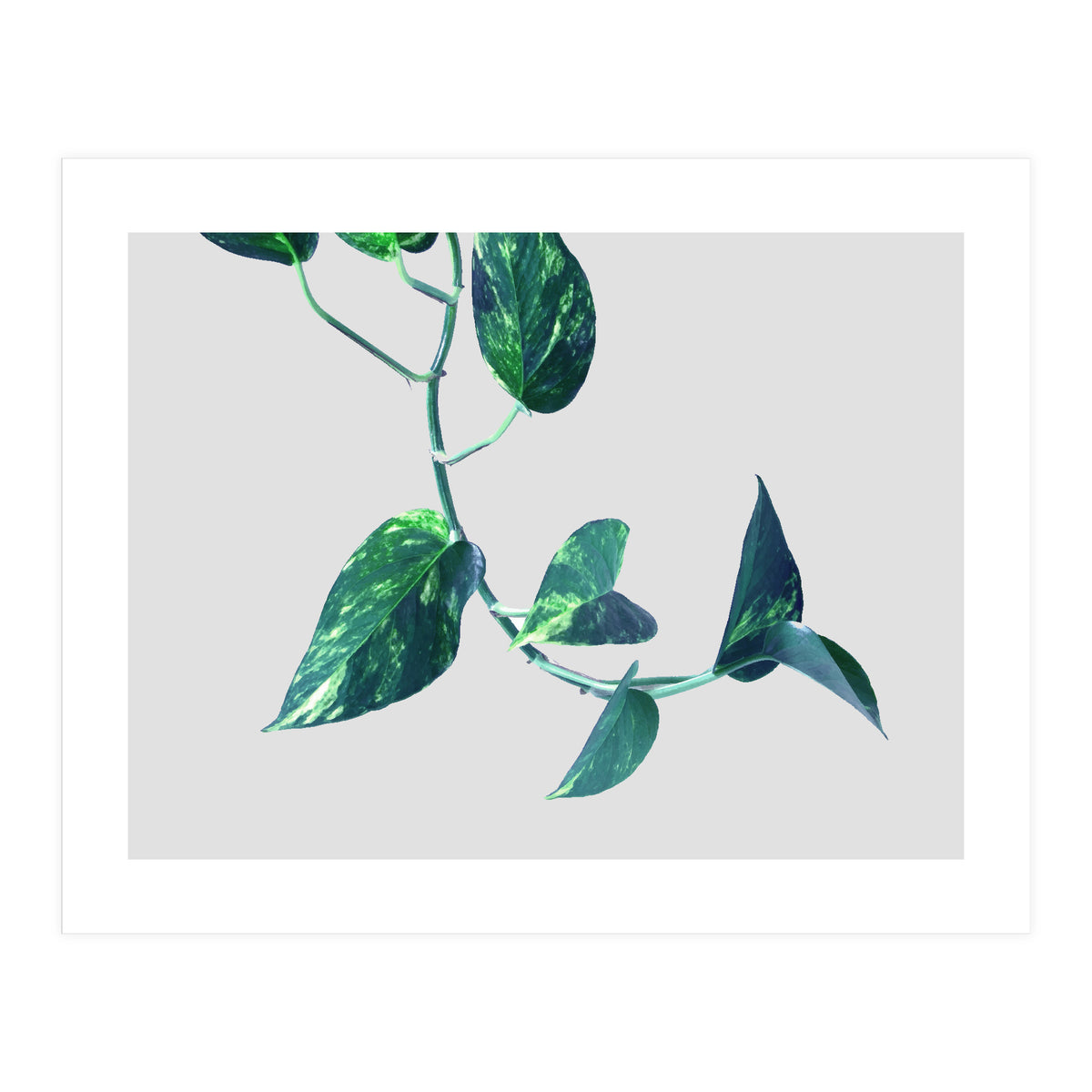 Projection & Emotion (Print Only)