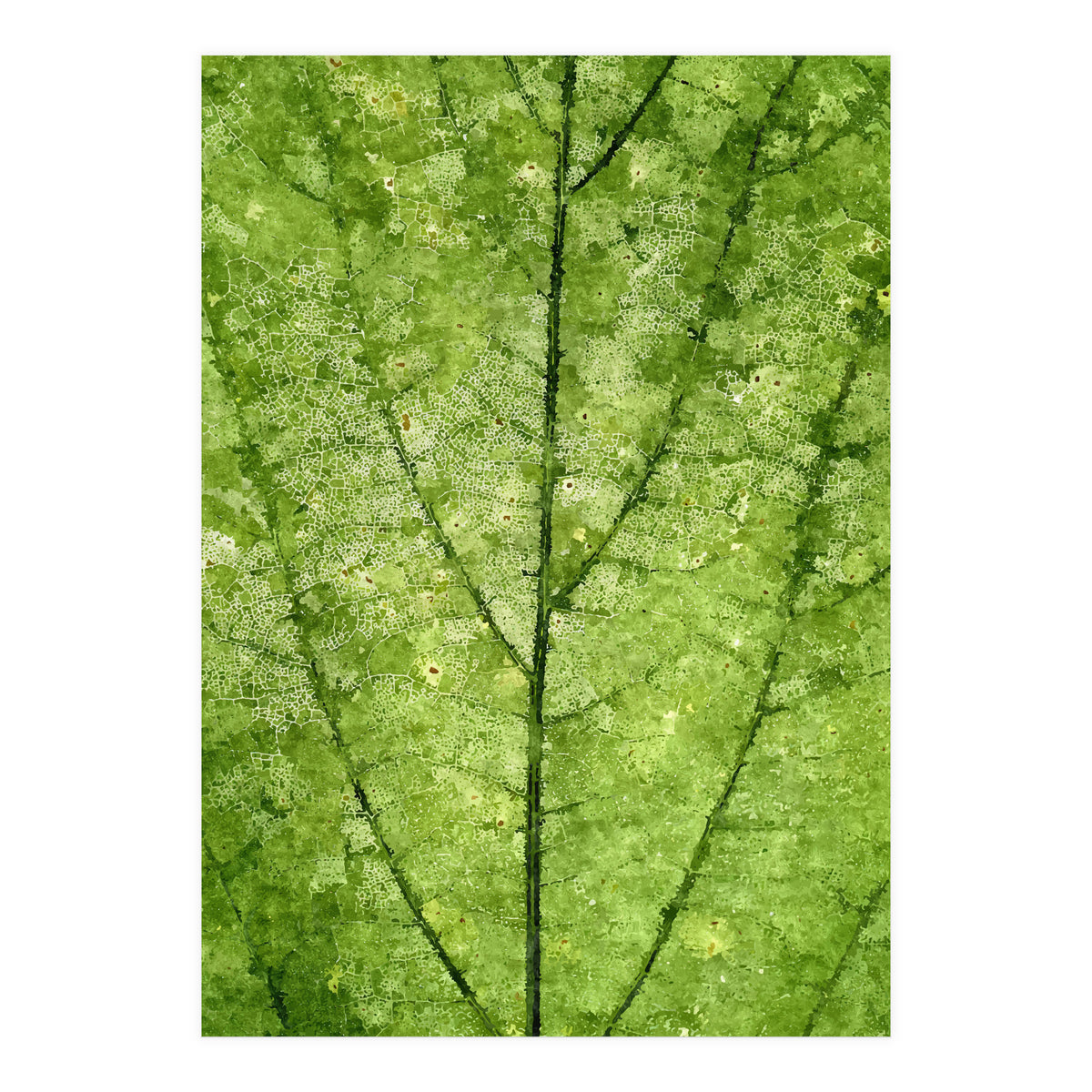 Nature Veins (Print Only)