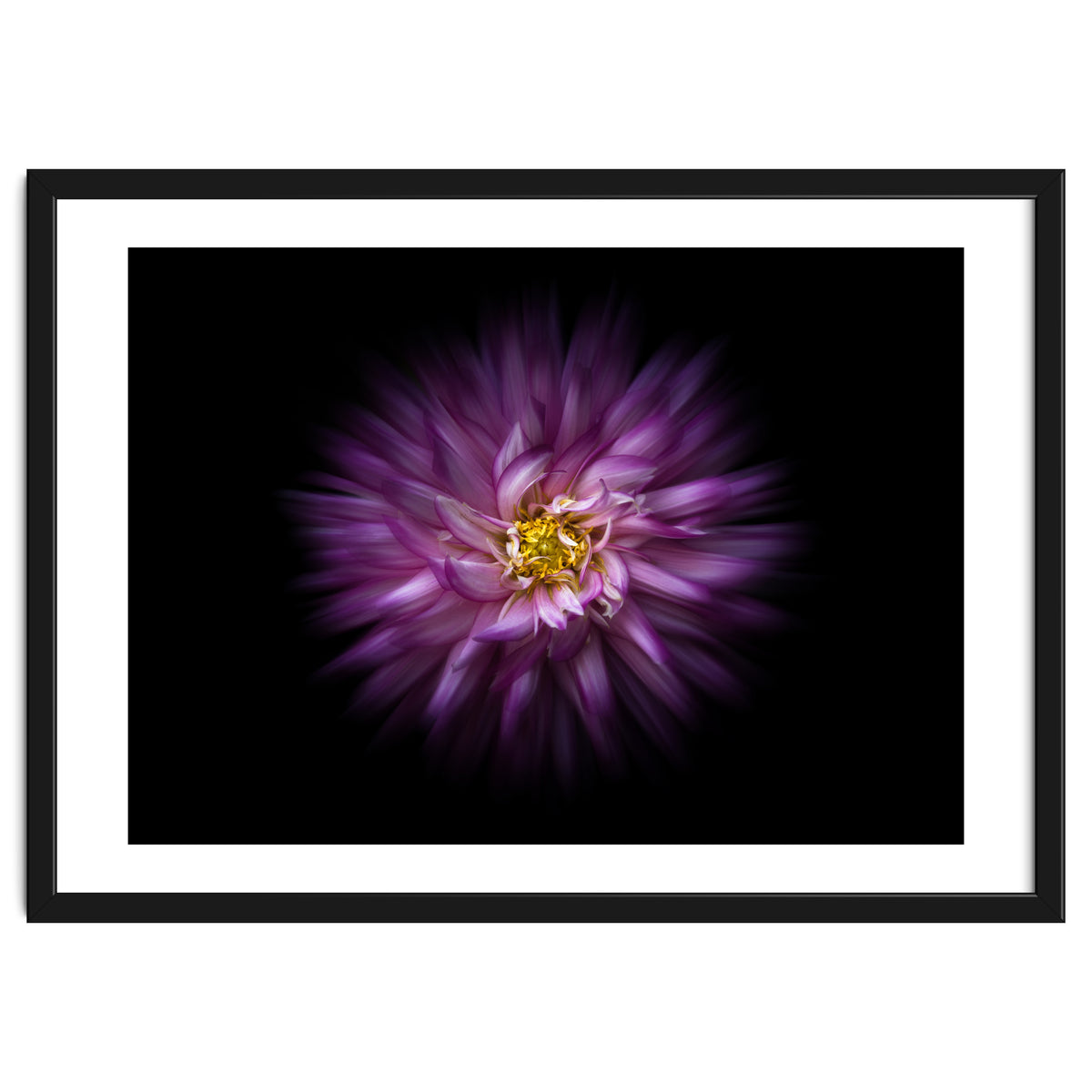 Backyard Flowers No 20 Color Flow Version