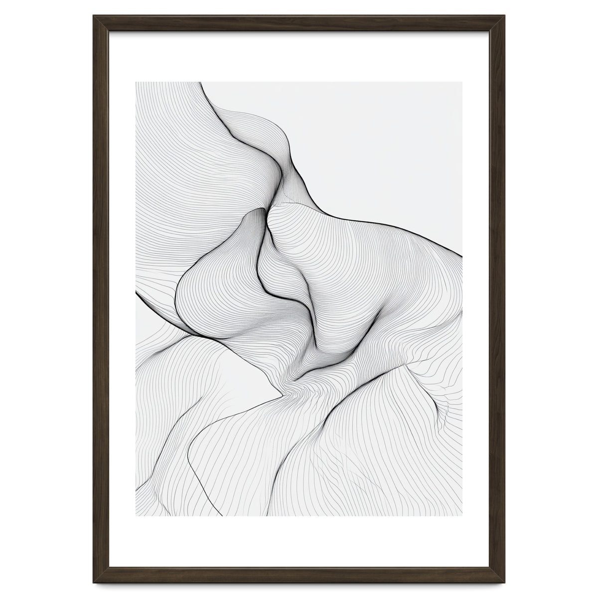 Abstract Black And White Flowing Lines Organic Form