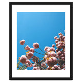 Pink Summer thumbnail