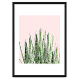 Botanical Balance thumbnail