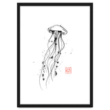 Meduse thumbnail