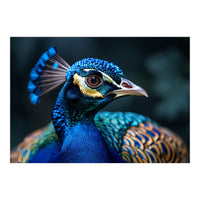 Peacock Head Close Up Majestic Blue Bird (Print Only)