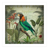 Tropical Bird Nostalgia  (Print Only) thumbnail