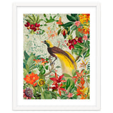 Bird of paradise vintage jungle thumbnail