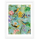 Birds In Tropical Jungle thumbnail