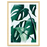 Monstera Tropical Photography Digital Art, Minimal Nature Jungle Botanical Leaves thumbnail