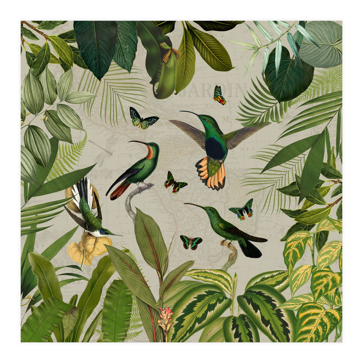 Vintage Exotic Hummingbirds Jungle (Print Only)