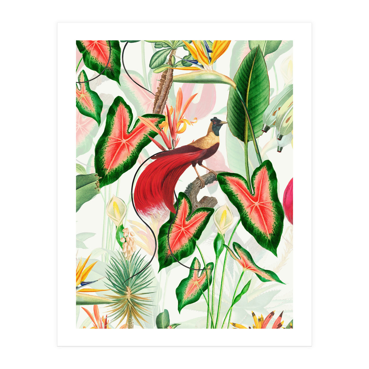 Vintage Bird Of Paradise in Jungle (Print Only)