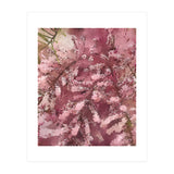 Pink Blossom (Print Only) thumbnail