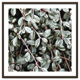 Rain #society6 #decor #buyart thumbnail