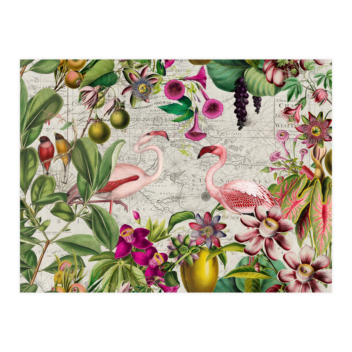 Flamingo Island 2 (Print Only)