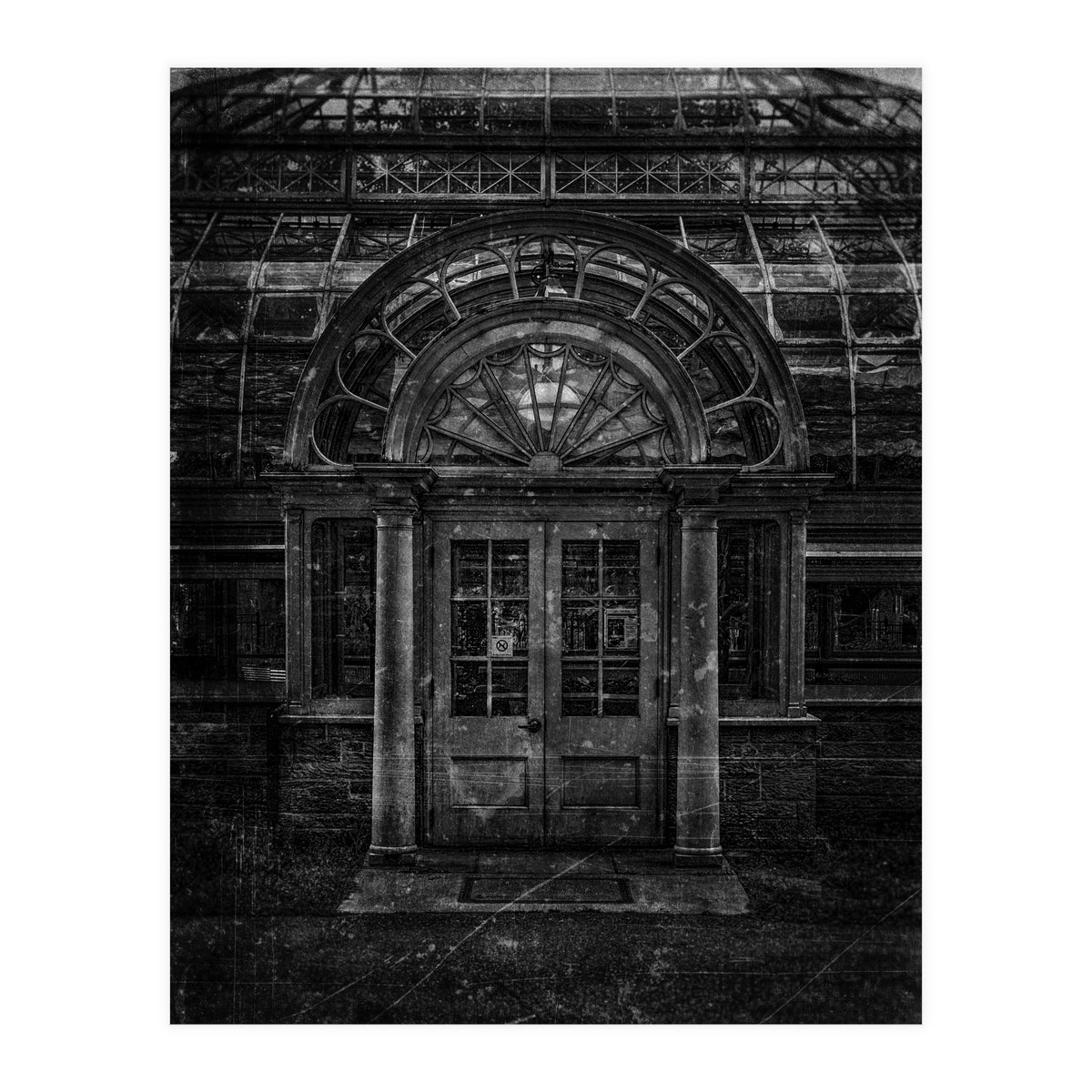 Allan Gardens Conservatory Palm House No 5 Old Film Version (Print Only)