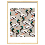 Mallards thumbnail