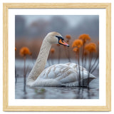 White Swan Swimming In A Lake With Reeds thumbnail
