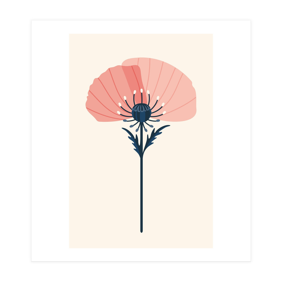 Pink Half Poppy (Print Only)